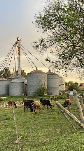 Photo from customer review