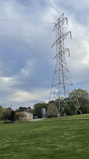 Photo from customer review