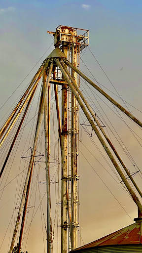 Photo from customer review