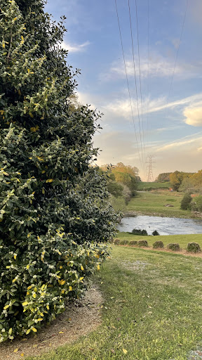 Photo from customer review