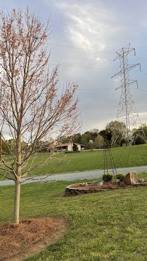 Photo from customer review